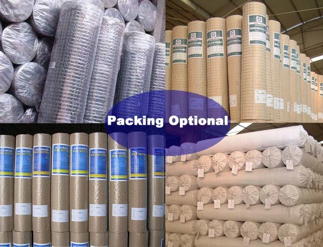 Factory Selling Square Hot-Dipped Galvanized Welded Wire Mesh/Net